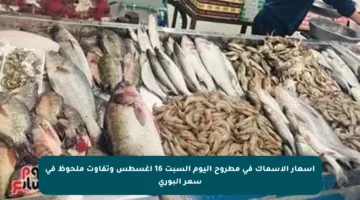 أسعار الأسماك في مطروح اليوم السبت 16 أغسطس وتفاوت ملحوظ في سعر البوري